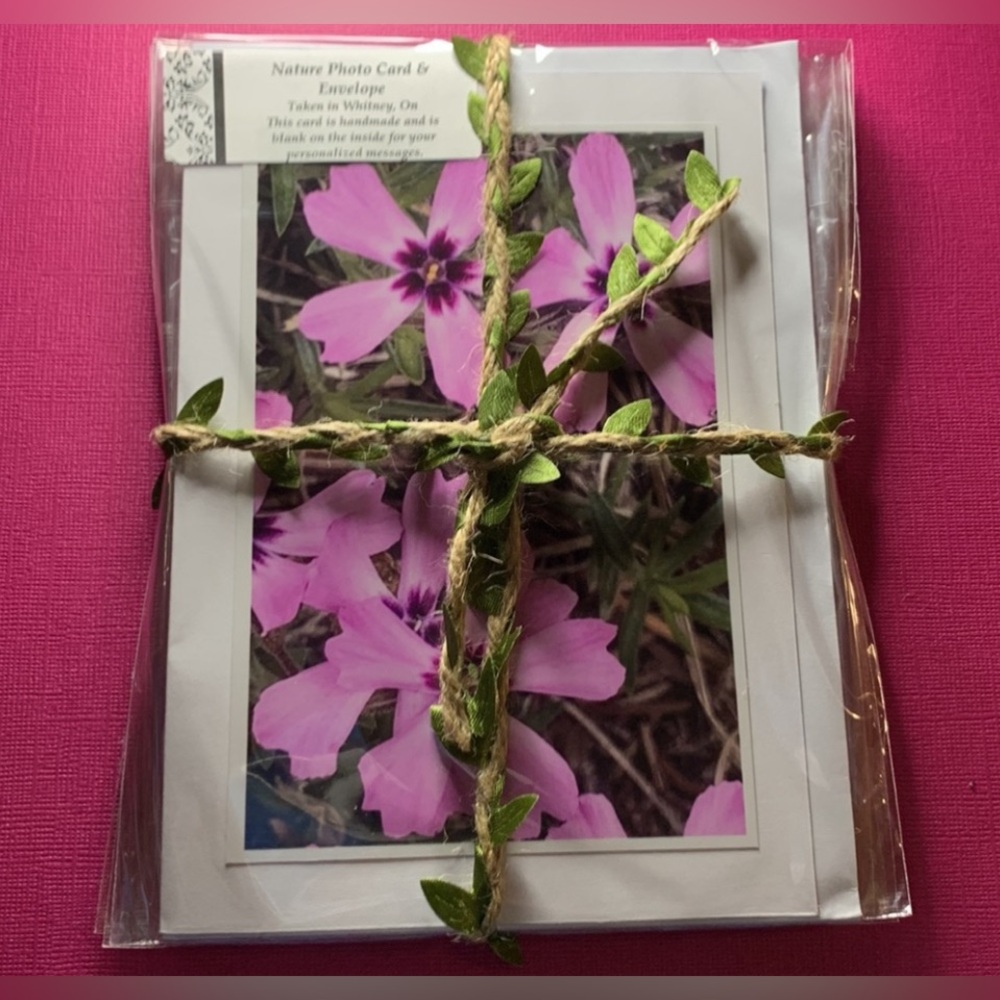 2 for $30 Nature Photo Blank Greeting Cards. Algonquin Spring set of 4